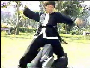 地术拳Fujian Di Shu Quan-Fujian Ground Boxing or Dog Boxing