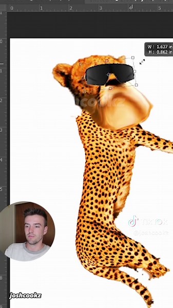 Photoshopping a realistic chester cheetah cheetos logo