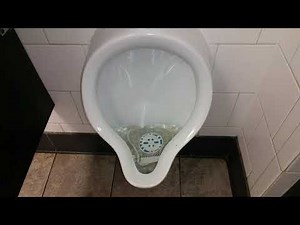 🚽 Bathroom tour: vintage bathroom in a Hardees restaurant with Crane toilet