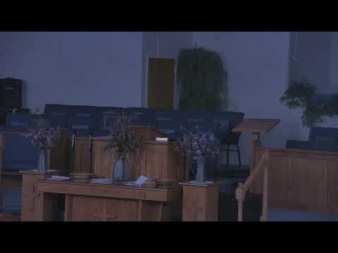 testingstuff Live Stream