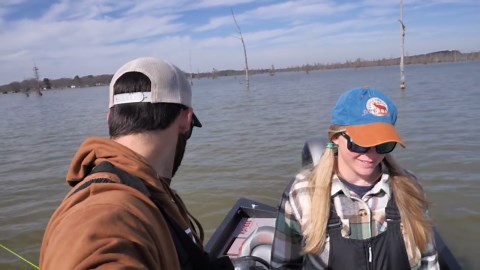 Catfish hole loaded with minnows versus worms live bait