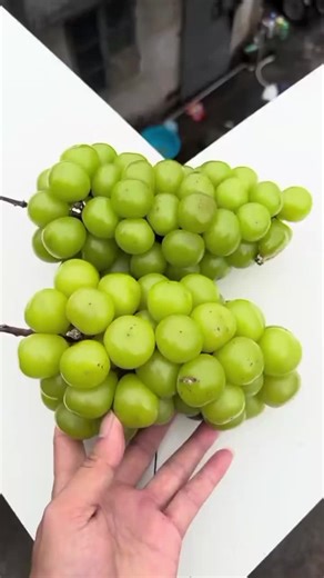 Explosive Fruit Experiment: Grapes, Watermelon, and Cantaloupe