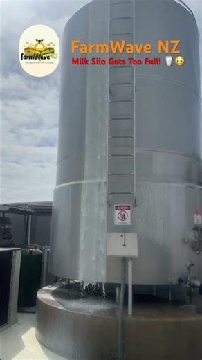 Milk Silo Overflow Moment 🥛😲 | NZ Dairy Farm Life