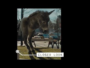 CLOSER LOOK: Some people think this ad is demeaning — to donkeys