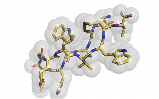 完美开源版pymol安装教程，B站唯一亲测有效教程（Windows版）