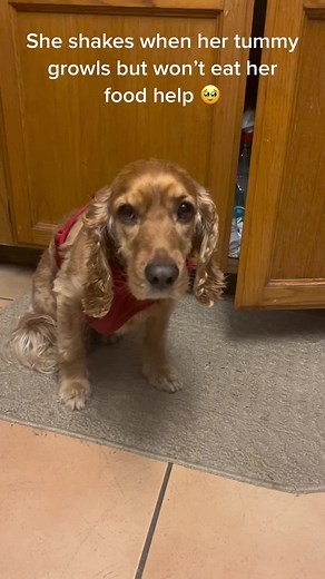 Mayra Preciado on TikTok