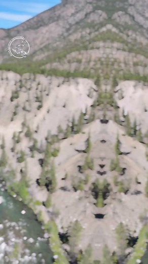 2.8K views · 31 reactions | This year has started with a bang and we are still going strong catching some quality fish, tagging new ones and meeting all the amazing new clients as well as getting to fish with return guests!!.We still have a few dates available with the cabin in July as well as September and October, these dates fill up super quick so don’t miss out!!! | River Monster Adventures | Facebook