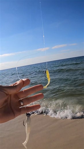 Watch what happens when I toss this crazy rig off the beach | Bama Beach Bum