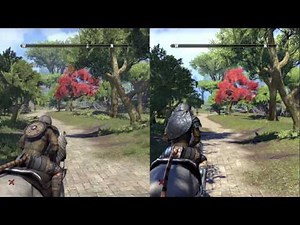 Elder Scrolls Online (PC vs PS4) Comparison