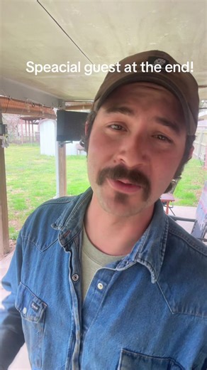 Meet Zeus: The Blue Collar Pitbull