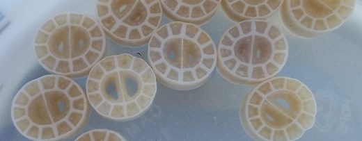 AquaPoint presents AquaFAS technology - an integrated fixed film activated sludge (IFAS) wastewater treatment process