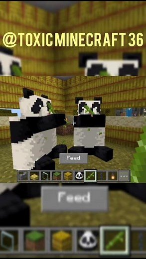 How to make🐼PANDA House in Minecraft #minecraft #shorts