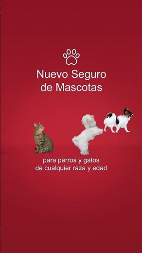 Seguro para #mascotas – Línea Directa Aseguradora