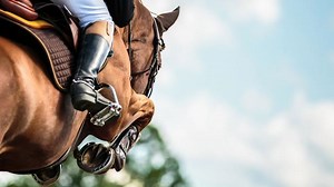 Raf Attack to give Spring Champion Stakes a ‘great shake’