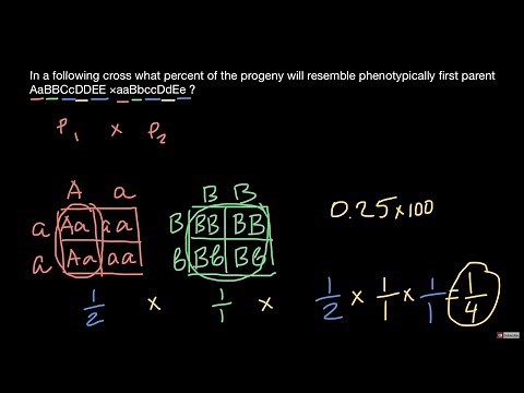 How to calculate what percentage of the progeny will resemble phenotypically one of the parents