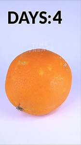 Decomposing orange 🍊Timelapse #satisfying #decay #food | Time Treats
