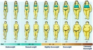 Risk of Obesity Charts and Posters