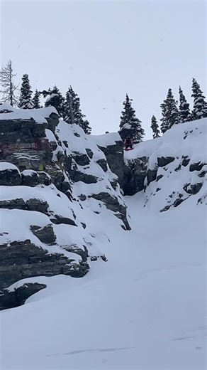 Welcome to the team Davis Carrier aka @davis.minishred !!!! At only 14 years old his edge control & progression is on another level. Honoured to have you part of our squad and can’t wait to see what the future brings. Give it up for Davis @korua_shapes #ohmygod | Boarderline Skateshop