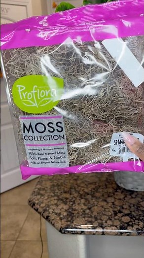 DIY Bamboo Planter for Under $20 | Luxe Look on a Budget