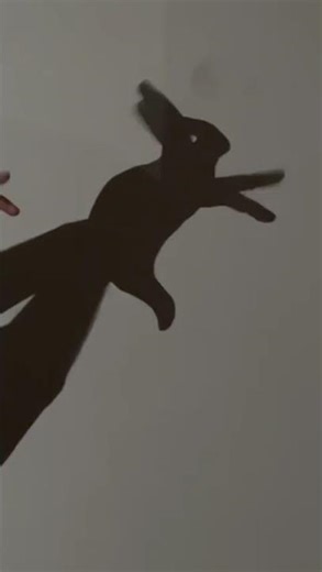 hand shadow Rabbit performance #shadow #art