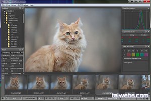 Fastrawviewer 1 3 668 Download Free