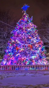 24 reactions | Boston's official holiday lighting ceremonies kicked off yesterday with Faneuil Hall!  instagram.com/jackdarylphotography | Boston Uncovered | Facebook