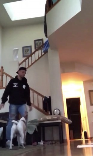 Elliott Turbomachinery: Playing Dead Experiment with Turbo