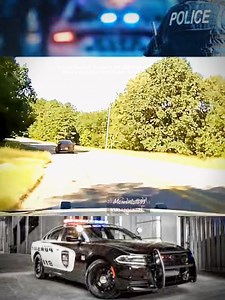 cops | Classic TV Show