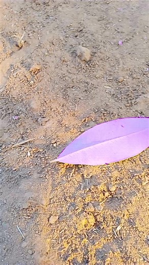 original sound - UEFOH 🛸 ပါဝင်သည့် Htet Aung (@htet.aung8569) ၏ ဗီဒီယိုများ