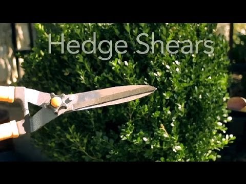 How to Use Hedge Shears : Garden Tool Guides