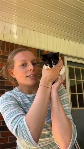 Day 1 with my very first kitty #straycat #feralcat #adoptstrays #rescuecat @elliefaithlaine