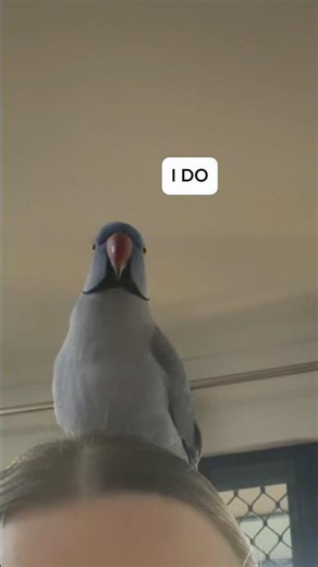Guess who was late to work?