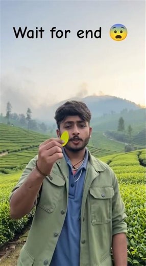 ✅💵Green Tea ki Kheti—₹5 Lakh+Profit wali Farming! #youtubeshorts #trending #shorts #viral#shortvideo