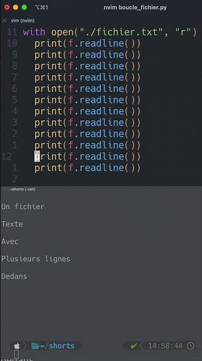 Lire les lignes d'un fichier #python