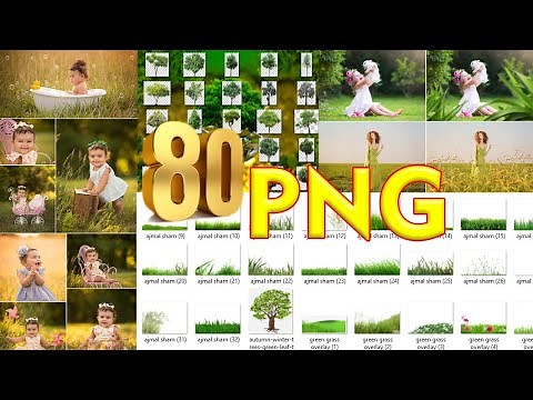 80 Green Grass Photo Overlays in Png Transparent PNG Free Download