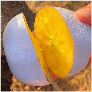 6.1M views · 10K reactions | This video full of mesmerizing fruits is a special edition one  | Lilyon | Facebook