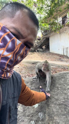 Pelo wonder, what mom is eating? is it delicious or not? Pelo wants to eat it too#viral#animals#food