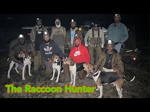 A Inside Look at a Group of Great Raccoon Hunters and Walker Hounds