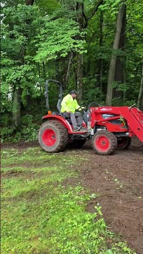 Integrated Pest Management (IPM) | In Action | #shorts #pestmanagement #newhampshire