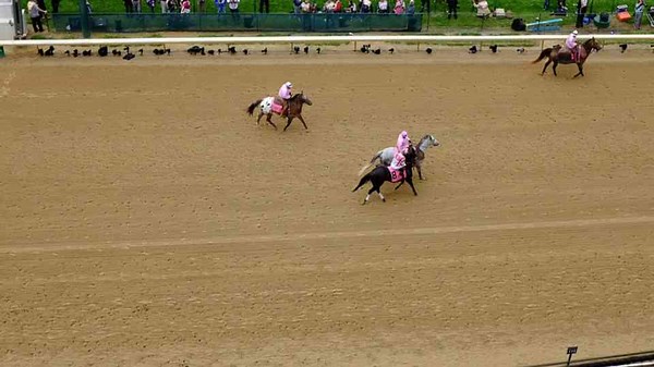 20 Bucket List Sporting Events That Might Leave You Underwhelmed