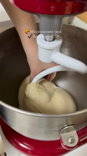 🥐 A perfect windowpane tells me the dough can handle those croissant layers. #Sourdough #CroissantLovers #BakingTips #WindowpaneTest #ArtisanBread #CroissantMagic #BakeryLife #DoughGoals #LayeredPerfection #HomemadeCroissants #BreadMaking #GoodloafSourdough #BakersOfInstagram #PastryLovers #FromScratchBaking | Dennice Rosas
