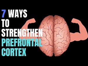 7 Ways You Can Strengthen Prefrontal Cortex