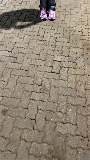 Exploring Zim Comedy and Freestyle Trends