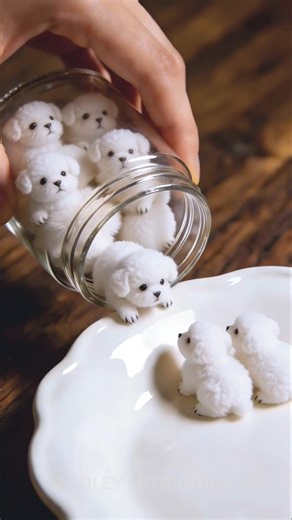 হেটারদের মুখ বন্ধ করার 3টা জবাব | #shorts #trending