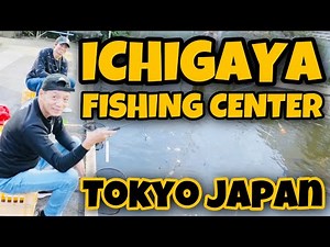 Things to do in Tokyo | Ichigaya Fishing Center | Tokyo Japan