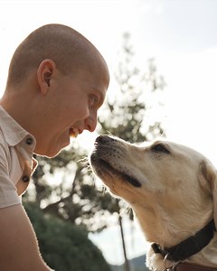 95 reactions | A Guide Dog expands the world and the future for their...