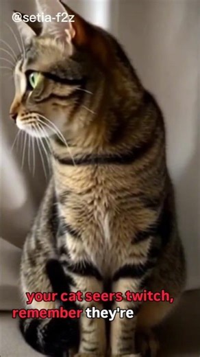 🔍Unbelievable Fact: 32 Muscles in Every Cat Ear!#shorts