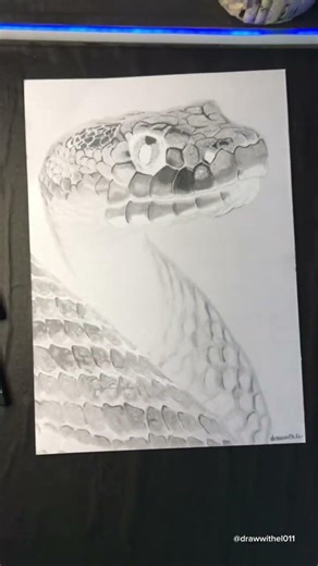 Drawing Inverted Snake 🐍 #shorts #realistic #drawing …