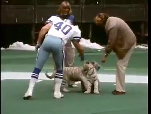 30K views · 701 reactions | #BengalsGreatestGames 1985 #Bengals 50 Dallas 24 The story of this game was the Bengals D-line of Ross Browner, Eddie Edwards & Tim Krumrie completely taking control of the game from the outset & destroying Cowboys O-line. @7BOOMERESIASON w 3 TD'S. #CincinnatiFootballHistory | Bengal Jim's "Before the Roar" Tailgate Experience | Facebook