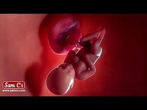 What does my baby look like at 38 weeks pregnant? - Pregnancy Week By Week